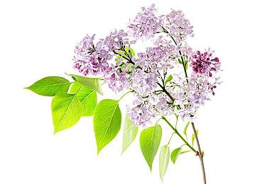 《荒野大镖客：救赎》宣布登陆PC 10月29日发售